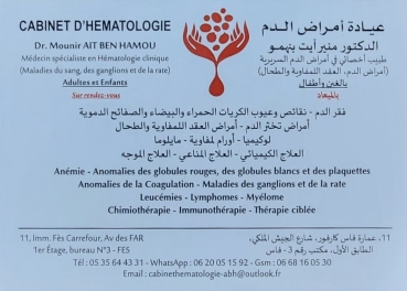 Mounir ait Ben Hamou